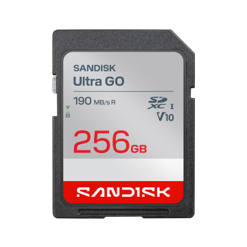 SanDisk 256GB Ultra GO SDHC and SDXC UHS-I Card (SDSDUGN-256G-GN6IN)
